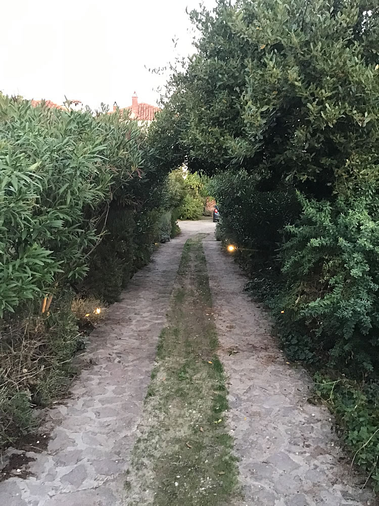 Mon Paradis Main Guesthouse