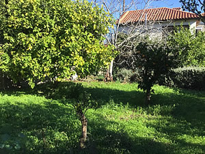 Mon Paradis Main Guesthouse